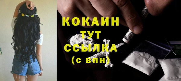 тгк Магас
