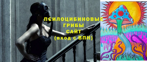 дживик Магадан