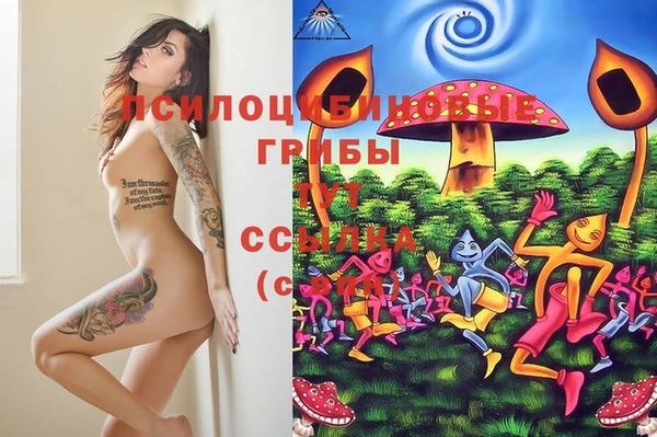 мескалин Дмитровск