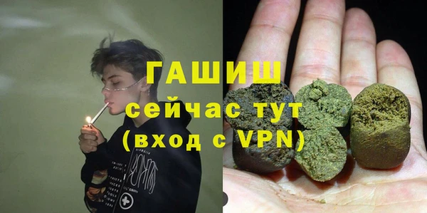 твердый Ельня