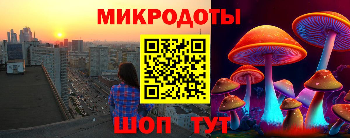 закладка  Псилоцибиновые грибы Psilocybine cubensis  Вход с VPN  Елизово  Псилоцибиновые грибы прущие грибы 