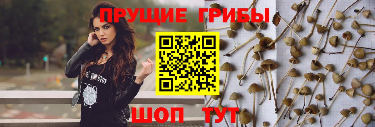 Галлюциногенные грибы MAGIC MUSHROOMS Елизово