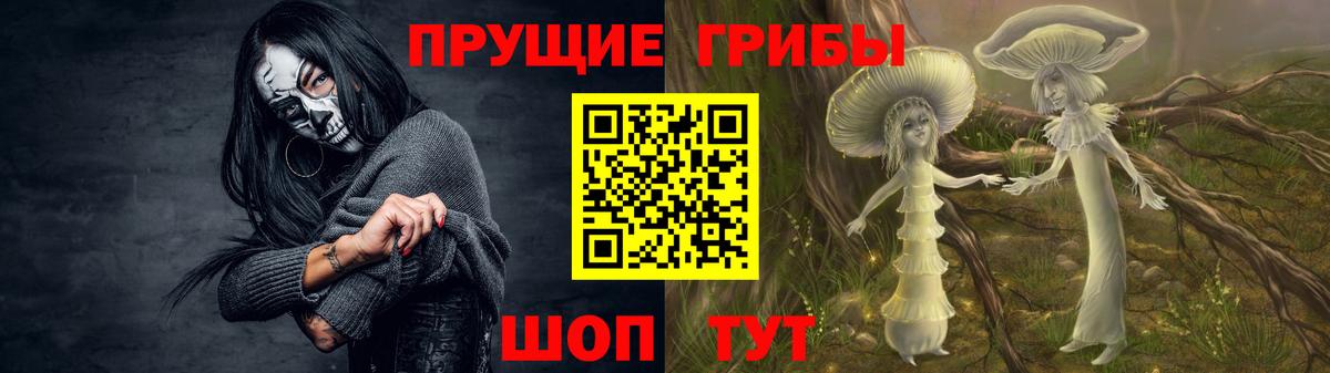 где купить   Елизово  Псилоцибиновые грибы MAGIC MUSHROOMS 