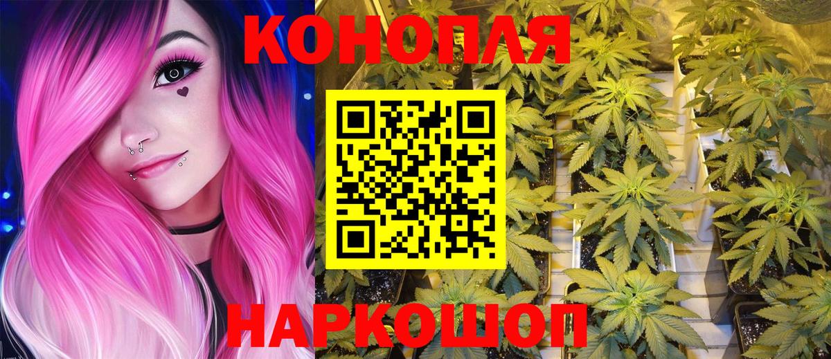 Канабис семена Елизово